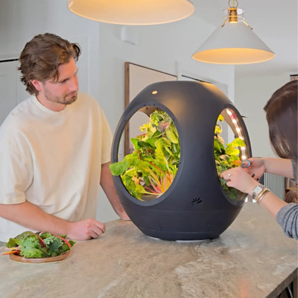 Smart Indoor Garden - Plantaform Fogponics System