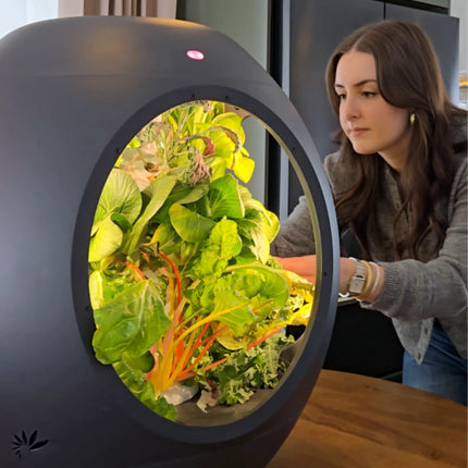 Smart Indoor Garden - Plantaform Fogponics System