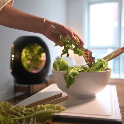 Smart Indoor Garden - Plantaform Fogponics System