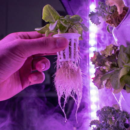 Smart Indoor Garden - Plantaform Fogponics System
