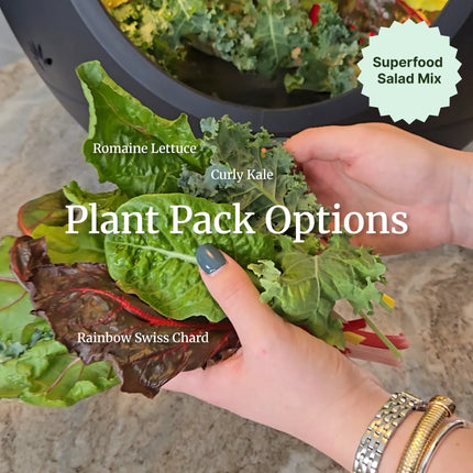 Smart Indoor Garden - Plantaform Fogponics System