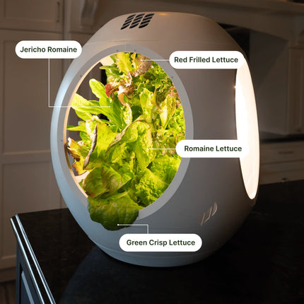 Smart Indoor Garden - Plantaform Fogponics System