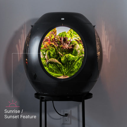 Smart Indoor Garden - Plantaform Fogponics System