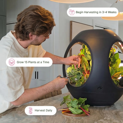 Smart Indoor Garden - Plantaform Fogponics System