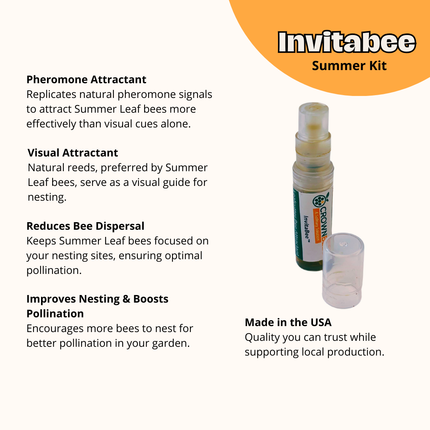 Cabana Bee House & Complete Kit with Bee Certificate