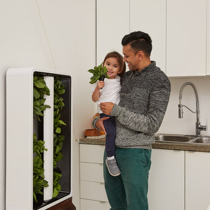 The EVE Tower Garden