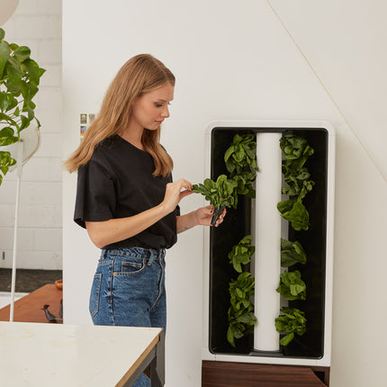 The EVE Tower Garden