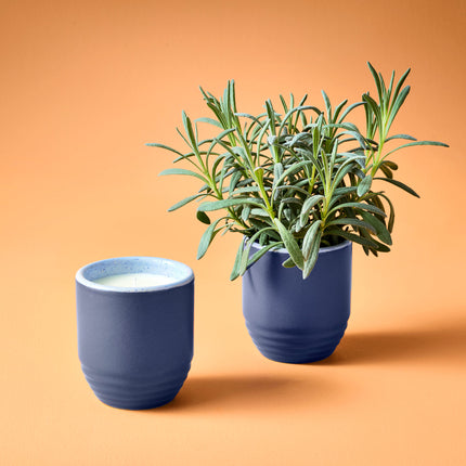 Garden Vibes Candle/Planter 2-in-1