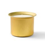 Photosynthesis / Candle Refill Only