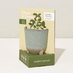 Glow and Grow - Herb Garden