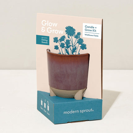 Glow & Grow Kits