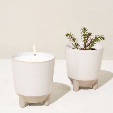 Glow & Grow Kits