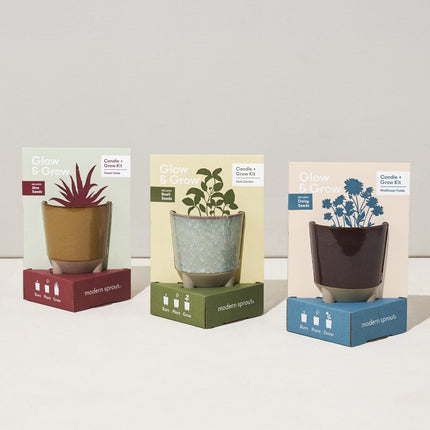 Glow & Grow Kits
