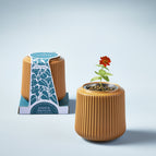 Zinnia Dahlia / Goldenrod Planter