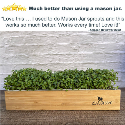 Microgreens Growing Kit Self Watering