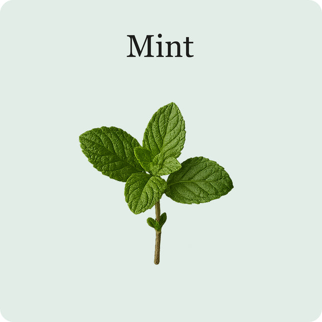 Cocktail Mix