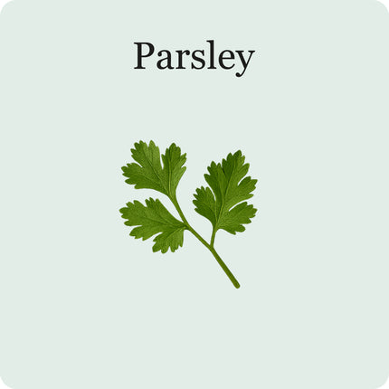 Herb Essentials