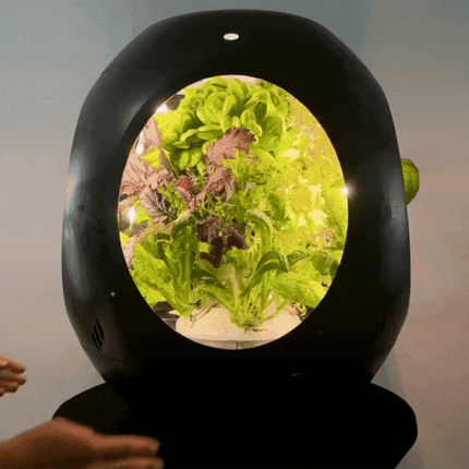 Smart Indoor Garden - Plantaform Fogponics System