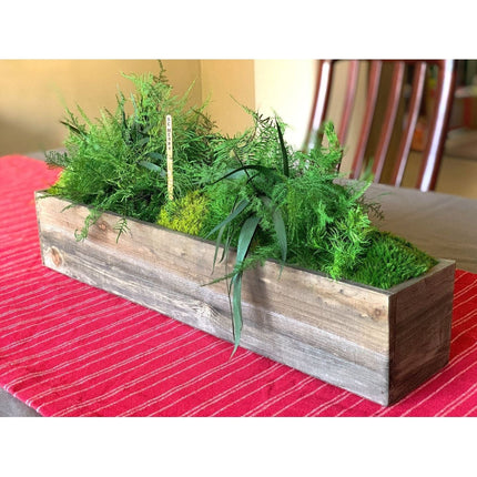 Large Rustic Wooden Planter Box with Preserved Moss and Ferns Handmade No Watering