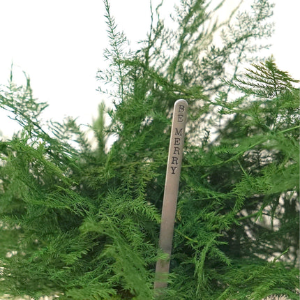 Featherleaf Fern Kokedama - Sitting or Hanging - Preserved Moss and Fern Plant