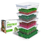 4 Tier