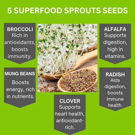 Organic 5 Variety Pack of Fresh Sprouting Seeds