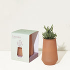Tapered Tumbler Grow Kits