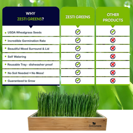 Organic Wheatgrass Growing Kit, Self Watering
