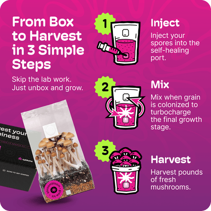 All-In-One Mushroom Grow Kit (4LB) – First-Time Growers