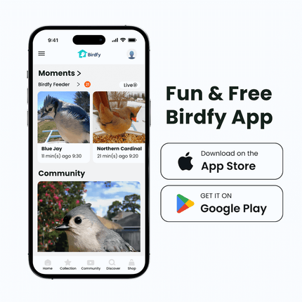 Birdfy Feeder with Solar Panel - Solar-Powered Smart Bird Feeder with Camera