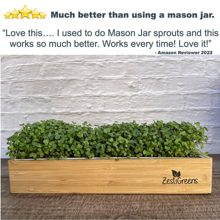 Microgreens Growing Kit Self Watering