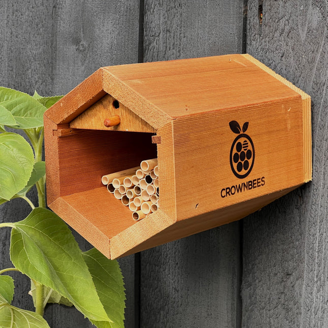 Cabana Bee House & Complete Kit with Bee Certificate