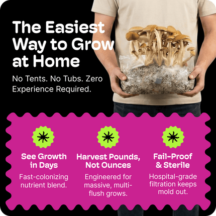 All-In-One Mushroom Grow Kit (4LB) – First-Time Growers