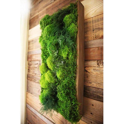 High-Profile Moss & Ferns Plant Painting Handmade 40” x 18”