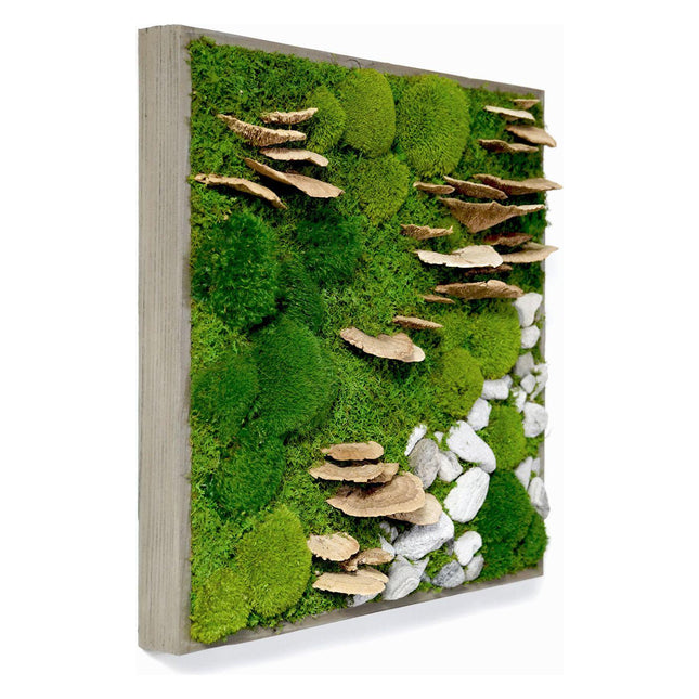 Moss with Fungus and Rock 24” X 24”
