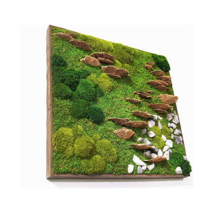 Moss with Fungus and Rock 24” X 24”