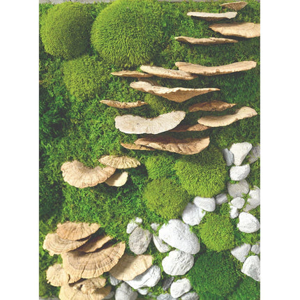 Moss with Fungus and Rock 24” X 24”