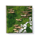 Moss with Fungus and Rock 24” X 24”