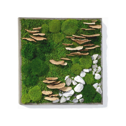 Moss with Fungus and Rock 24” X 24”