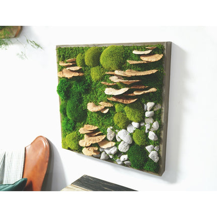 Moss with Fungus and Rock 24” X 24”