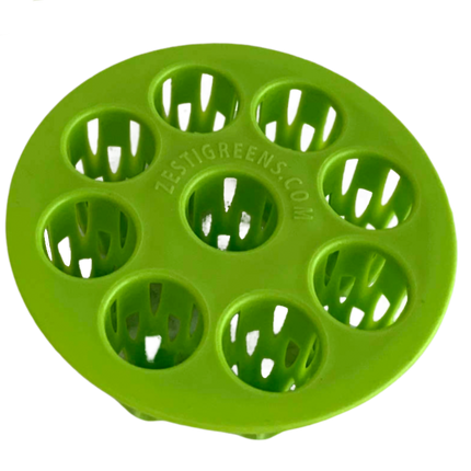 Easiest Green Onion Regrower. Includes Ergonically Designed Lid & Instructions for Beginners.