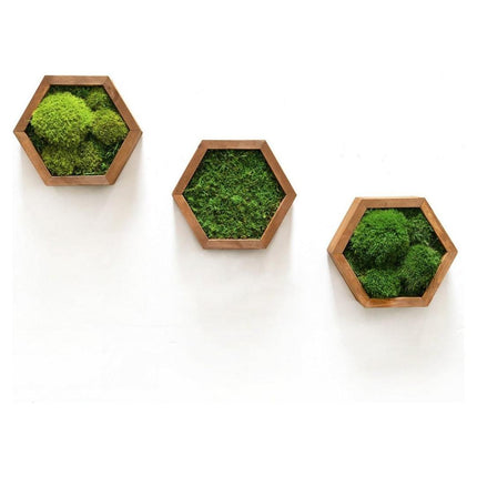 Modular Hexagons (single hex) 40 options to design your own wall