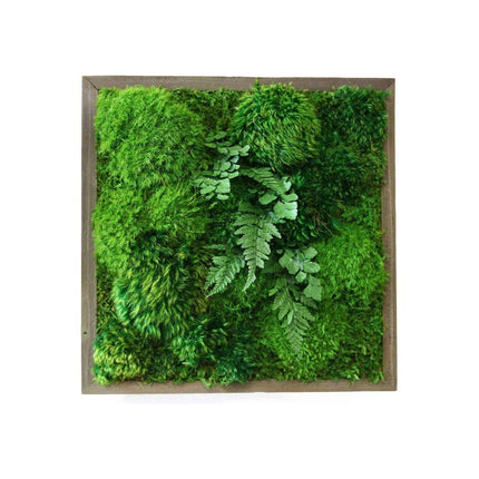 Fern & Moss Plant Painting Handmade 14” x 14”