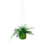 Hanging - Green String / No Gift Message