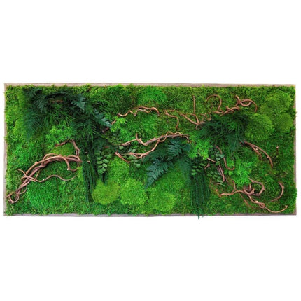 Curly Vine Moss & Ferns Plant Painting Handmade 40” x 18”