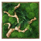 Sandwood Branch Moss & Ferns Plant Painting Handmade 24” x 24”