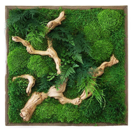 Sandwood Branch Moss & Ferns Plant Painting Handmade 24” x 24”