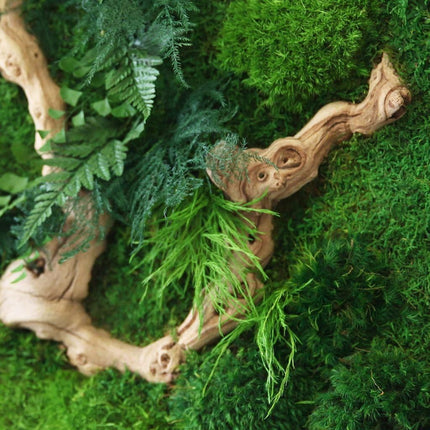 Sandwood Branch Moss & Ferns Plant Painting Handmade 24” x 24”