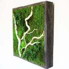 White Winding Branch 24” X 24”