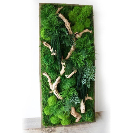 Sandwood Branch 40” X 18”